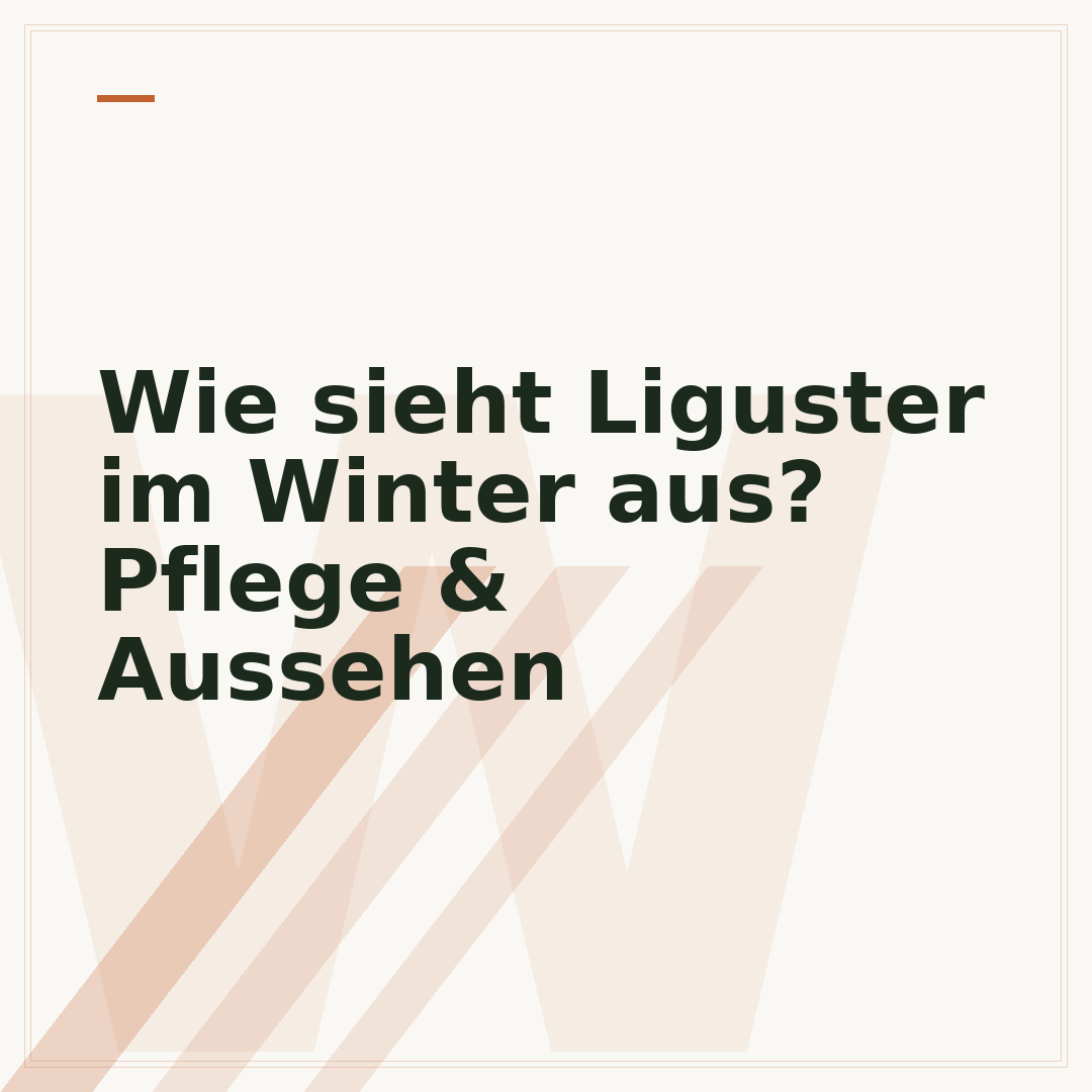 Wie sieht Liguster im Winter aus? Pflege & Aussehen