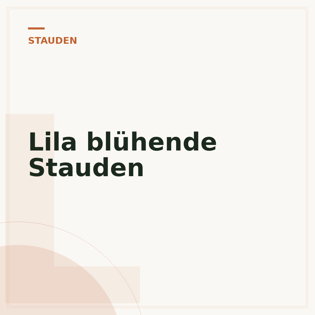 Lila blühende Stauden