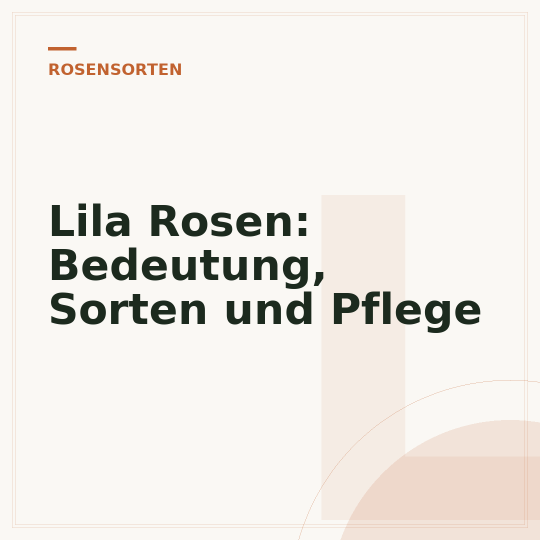 Lila Rosen: Bedeutung, Sorten und Pflege