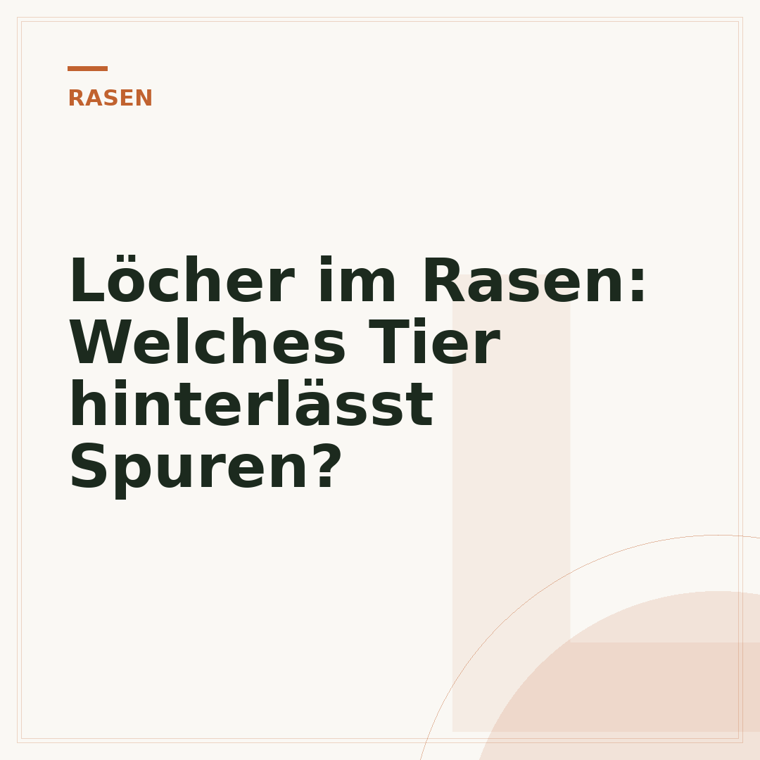 Löcher im Rasen: Welches Tier hinterlässt Spuren?