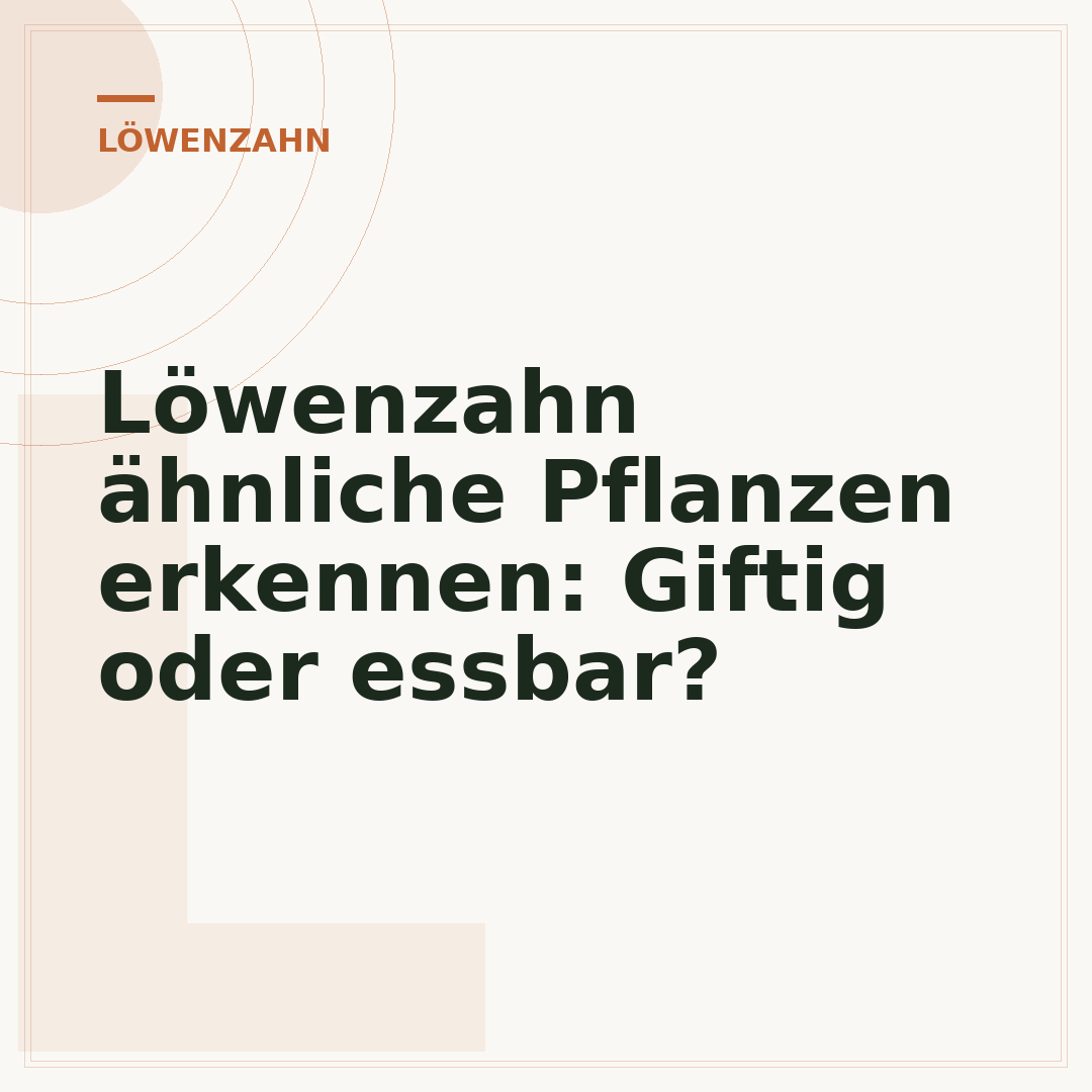 Löwenzahn ähnliche Pflanzen erkennen: Giftig oder essbar?