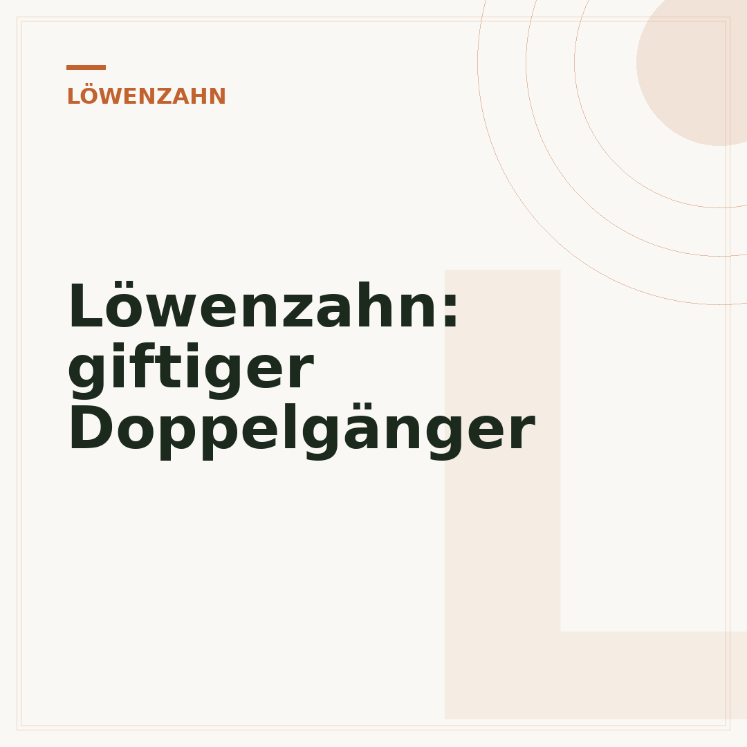 Löwenzahn: giftiger Doppelgänger