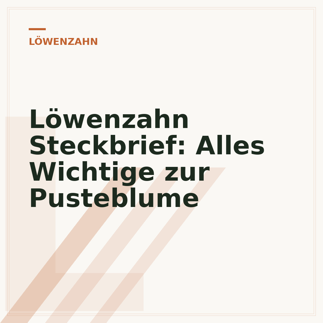 Löwenzahn Steckbrief: Alles Wichtige zur Pusteblume