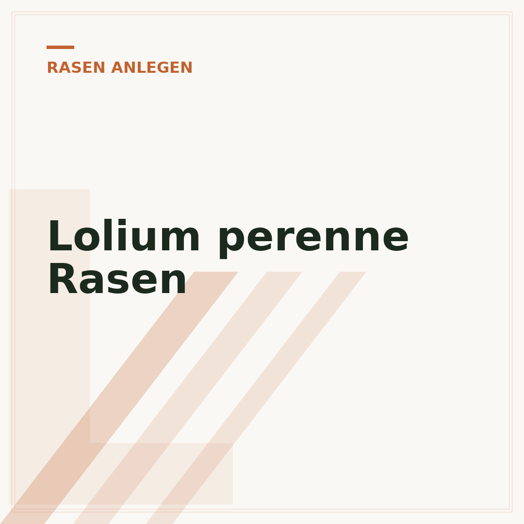 Lolium perenne Rasen