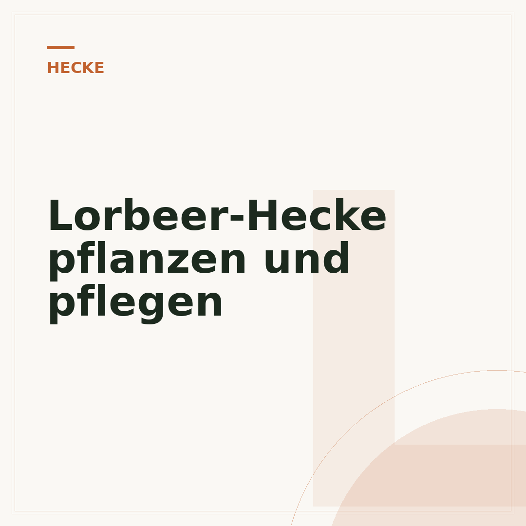 Lorbeer-Hecke pflanzen und pflegen
