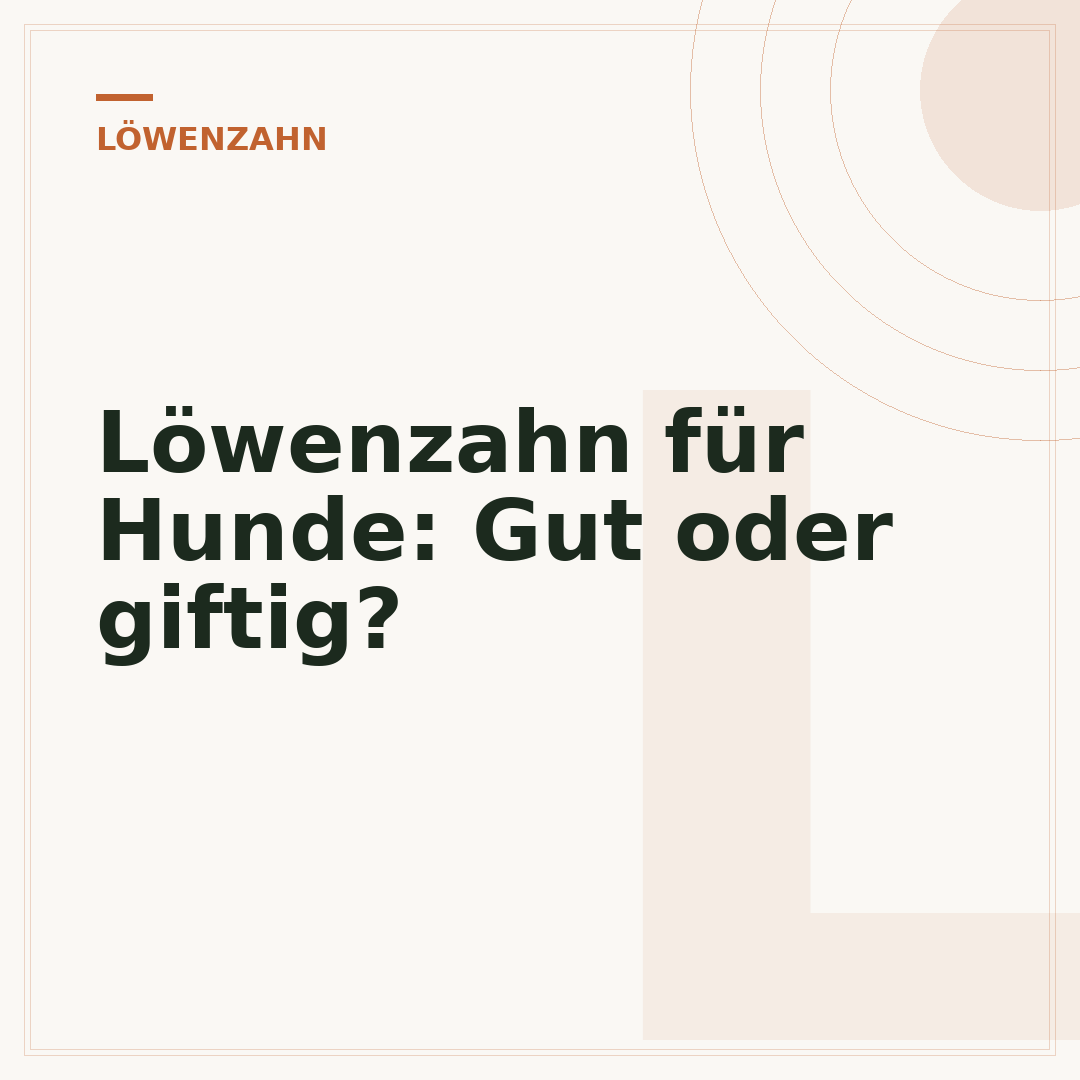 Löwenzahn für Hunde: Gut oder giftig?