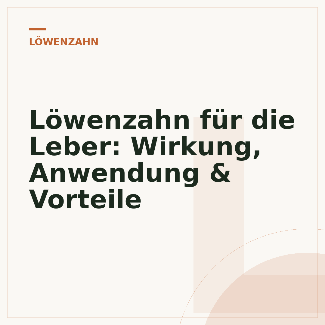 Löwenzahn für die Leber: Wirkung, Anwendung & Vorteile
