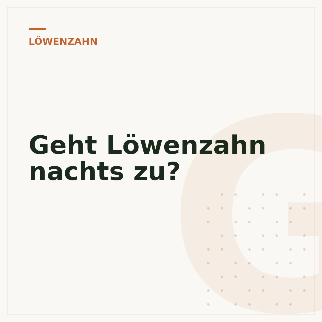 Geht Löwenzahn nachts zu?
