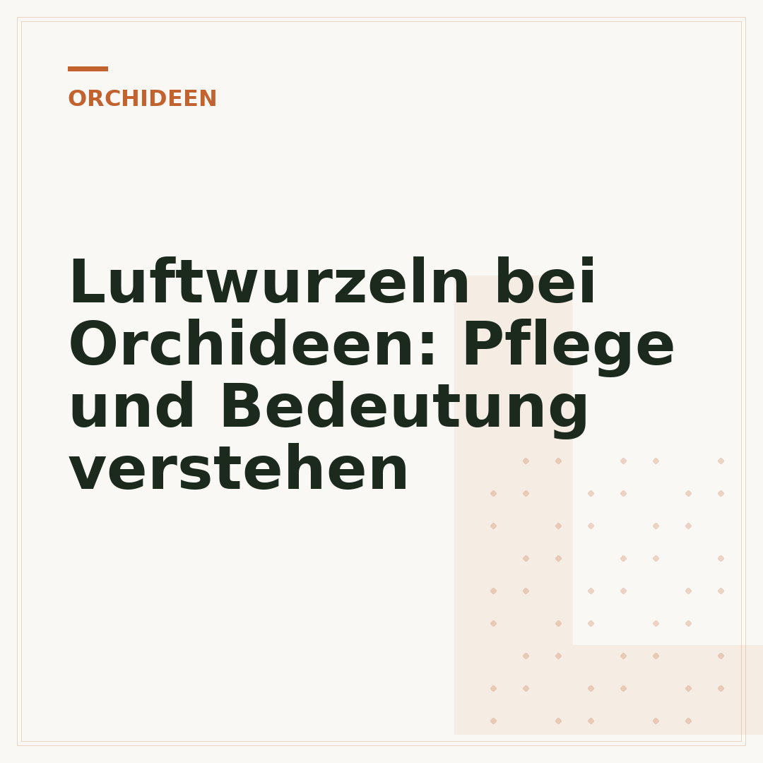 Luftwurzeln bei Orchideen: Pflege und Bedeutung verstehen