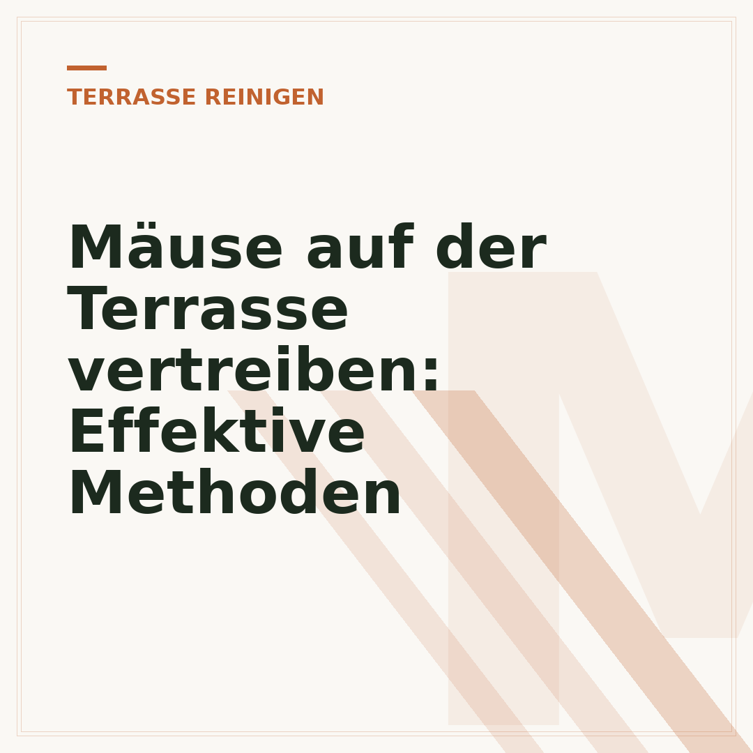 Mäuse auf der Terrasse vertreiben: Effektive Methoden
