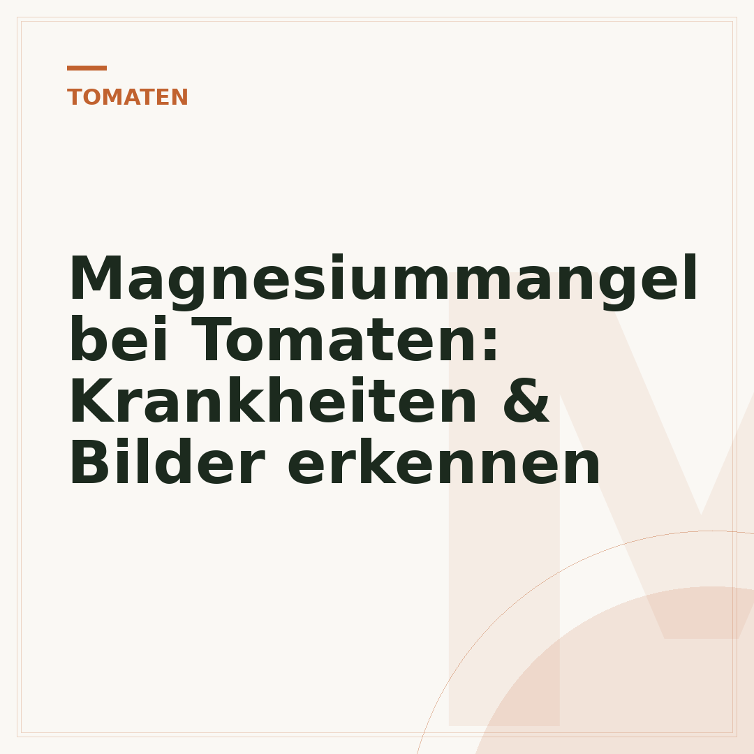 Magnesiummangel bei Tomaten: Krankheiten & Bilder erkennen