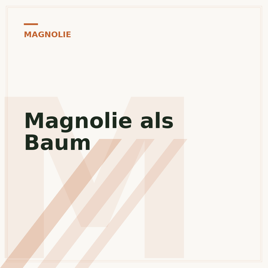 Magnolie als Baum