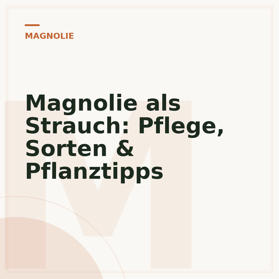 Magnolie als Strauch: Pflege, Sorten & Pflanztipps