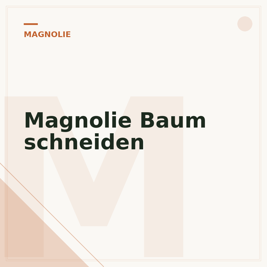 Magnolie Baum schneiden