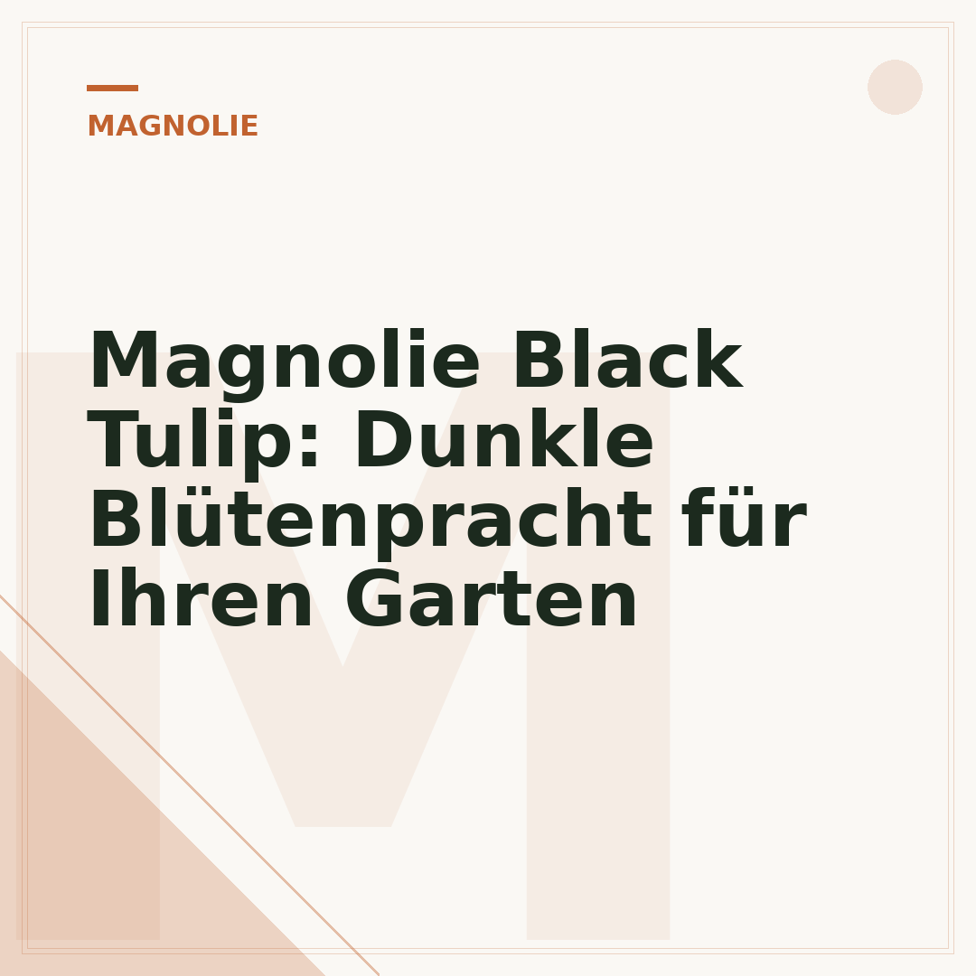 Magnolie Black Tulip: Dunkle Blütenpracht für Ihren Garten
