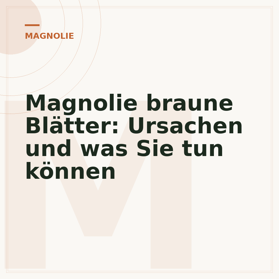 Magnolie braune Blätter: Ursachen und was Sie tun können