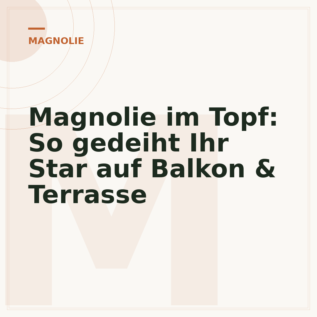 Magnolie im Topf: So gedeiht Ihr Star auf Balkon & Terrasse