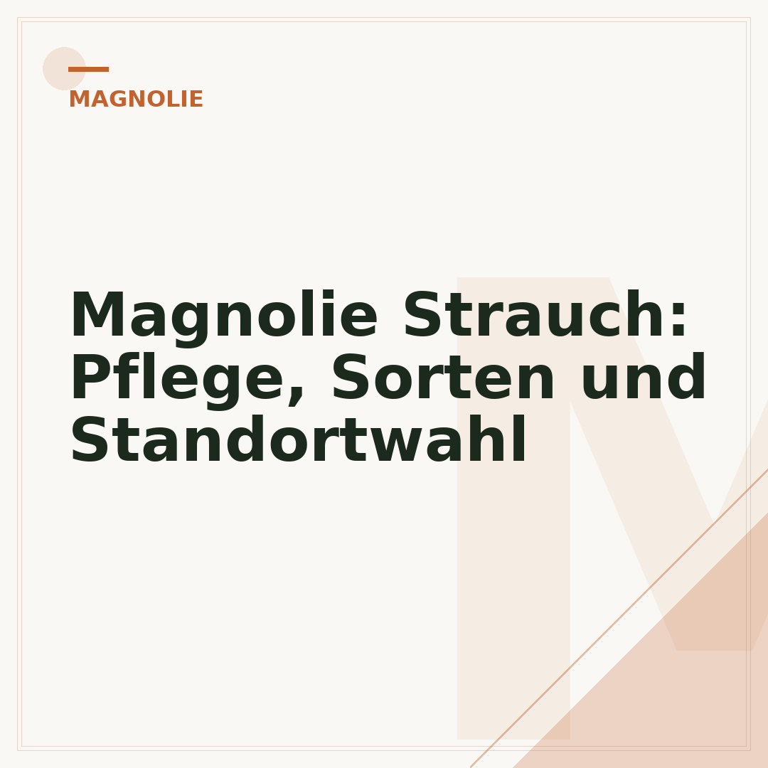 Magnolie Strauch: Pflege, Sorten und Standortwahl