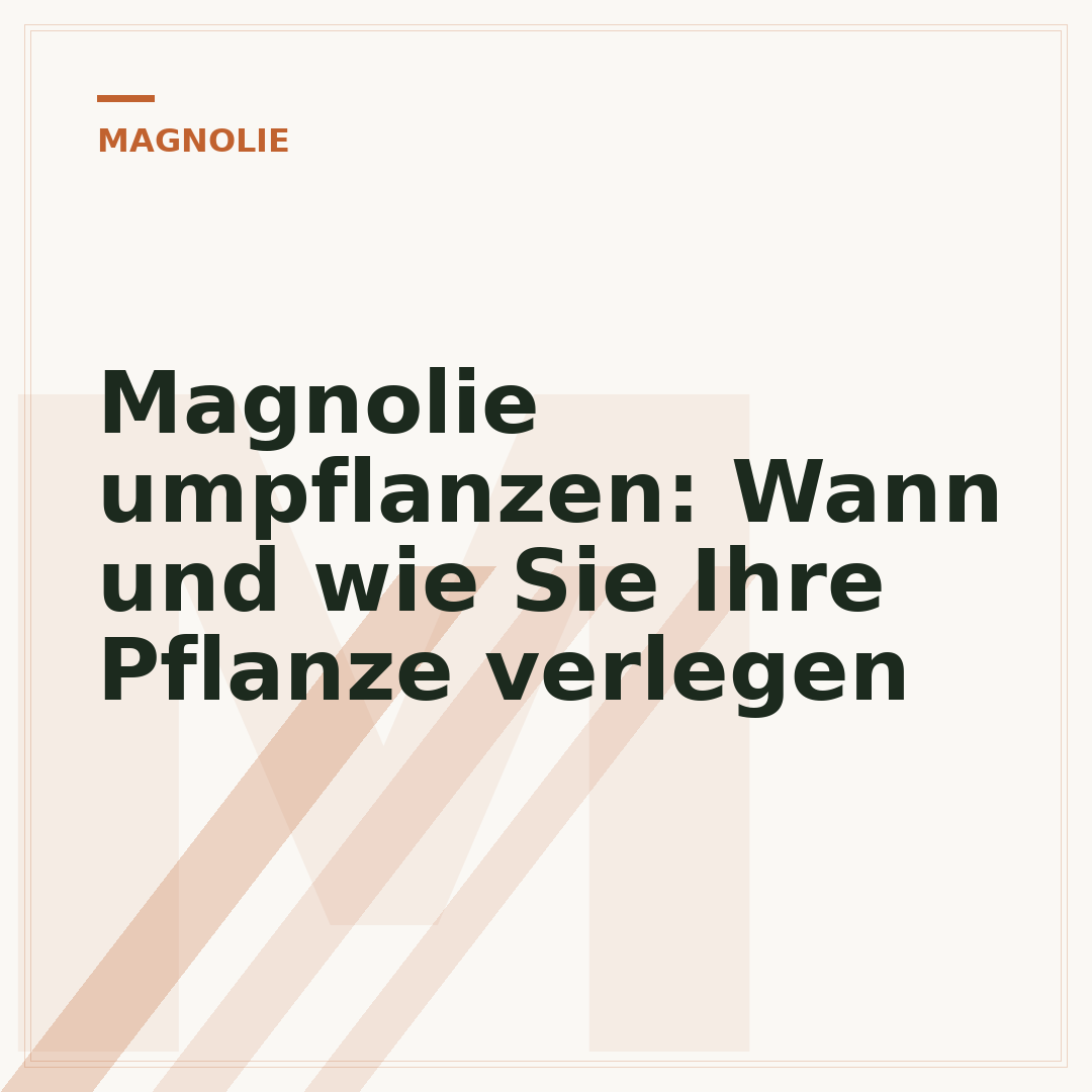 Magnolie umpflanzen: Wann und wie Sie Ihre Pflanze verlegen