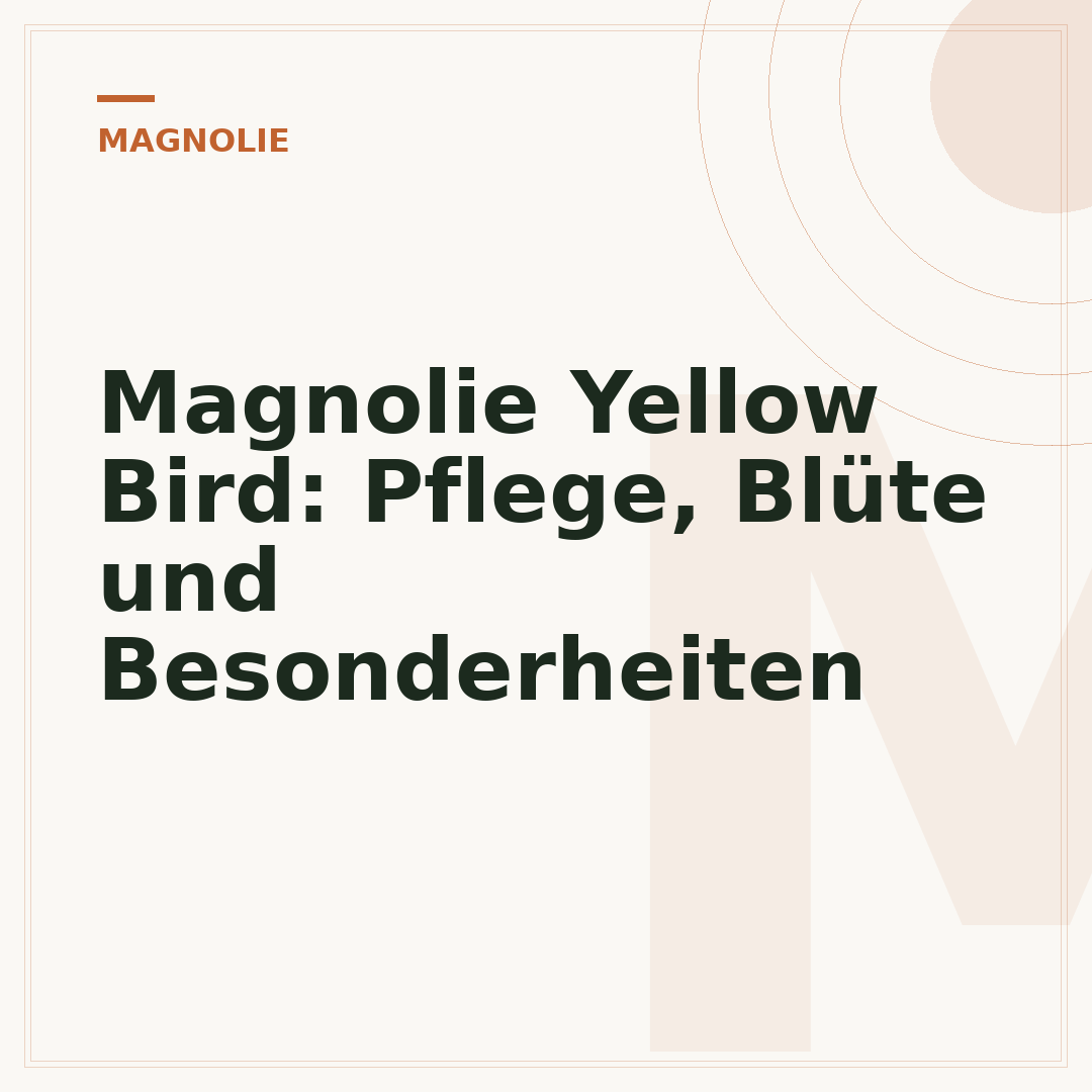 Magnolie Yellow Bird: Pflege, Blüte und Besonderheiten