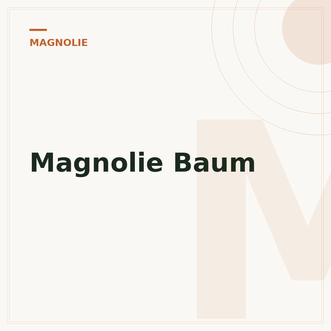 Magnolie Baum