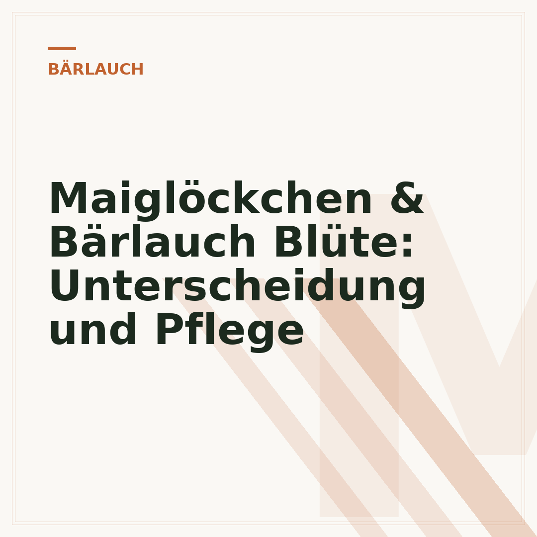 Maiglöckchen & Bärlauch Blüte: Unterscheidung und Pflege