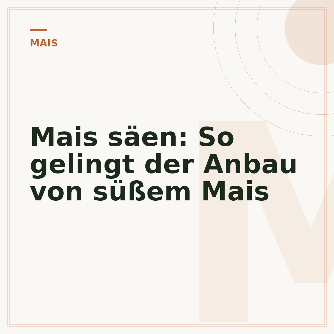 Mais säen: So gelingt der Anbau von süßem Mais