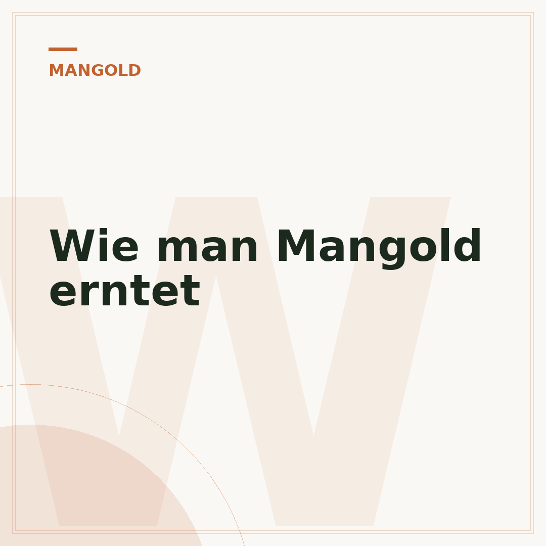 Wie man Mangold erntet
