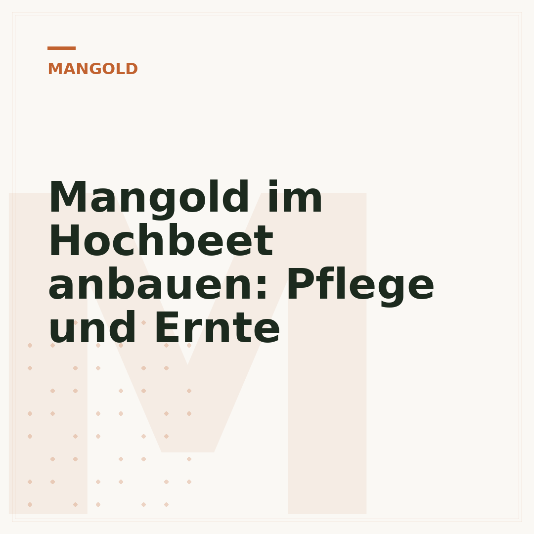 Mangold im Hochbeet anbauen: Pflege und Ernte