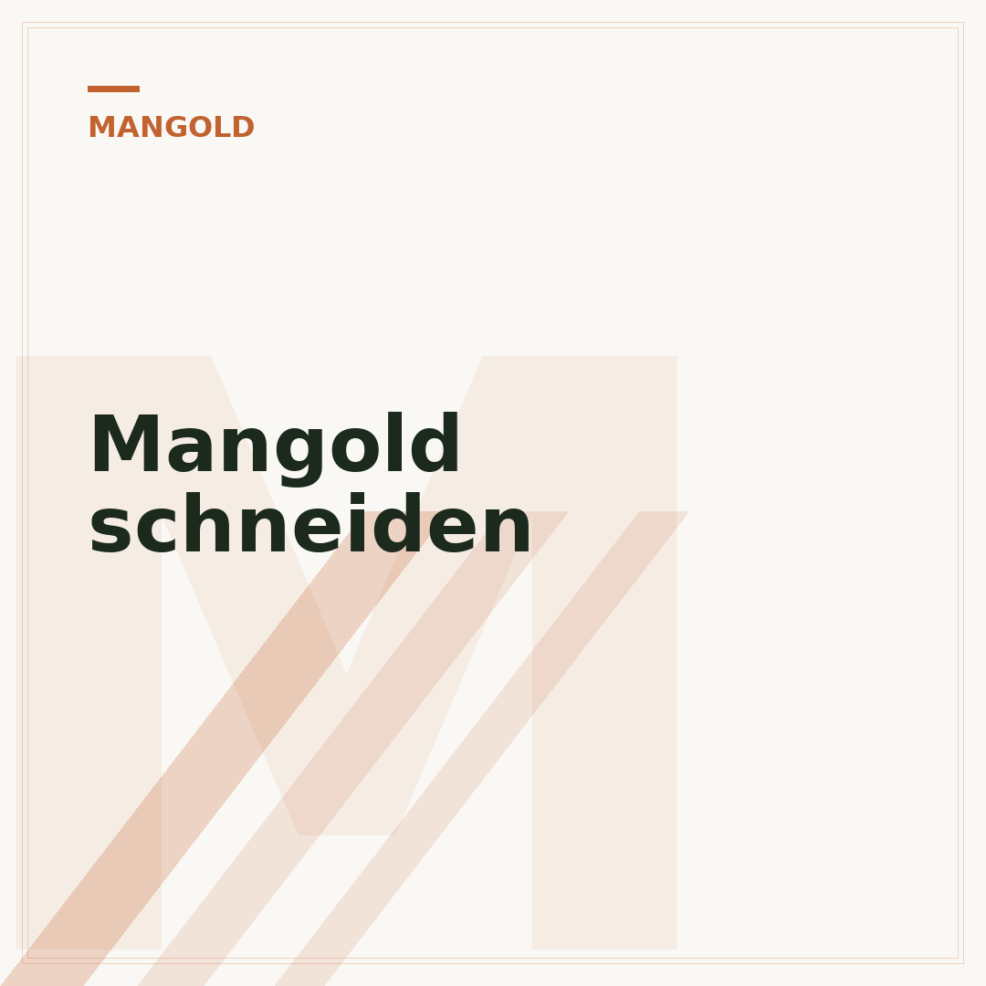 Mangold schneiden