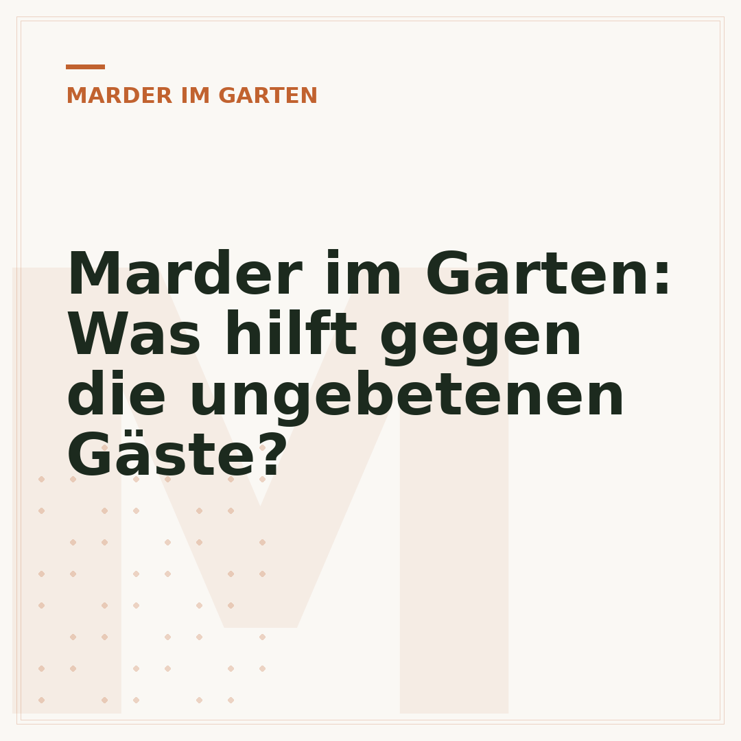 Marder im Garten: Was hilft gegen die ungebetenen Gäste?