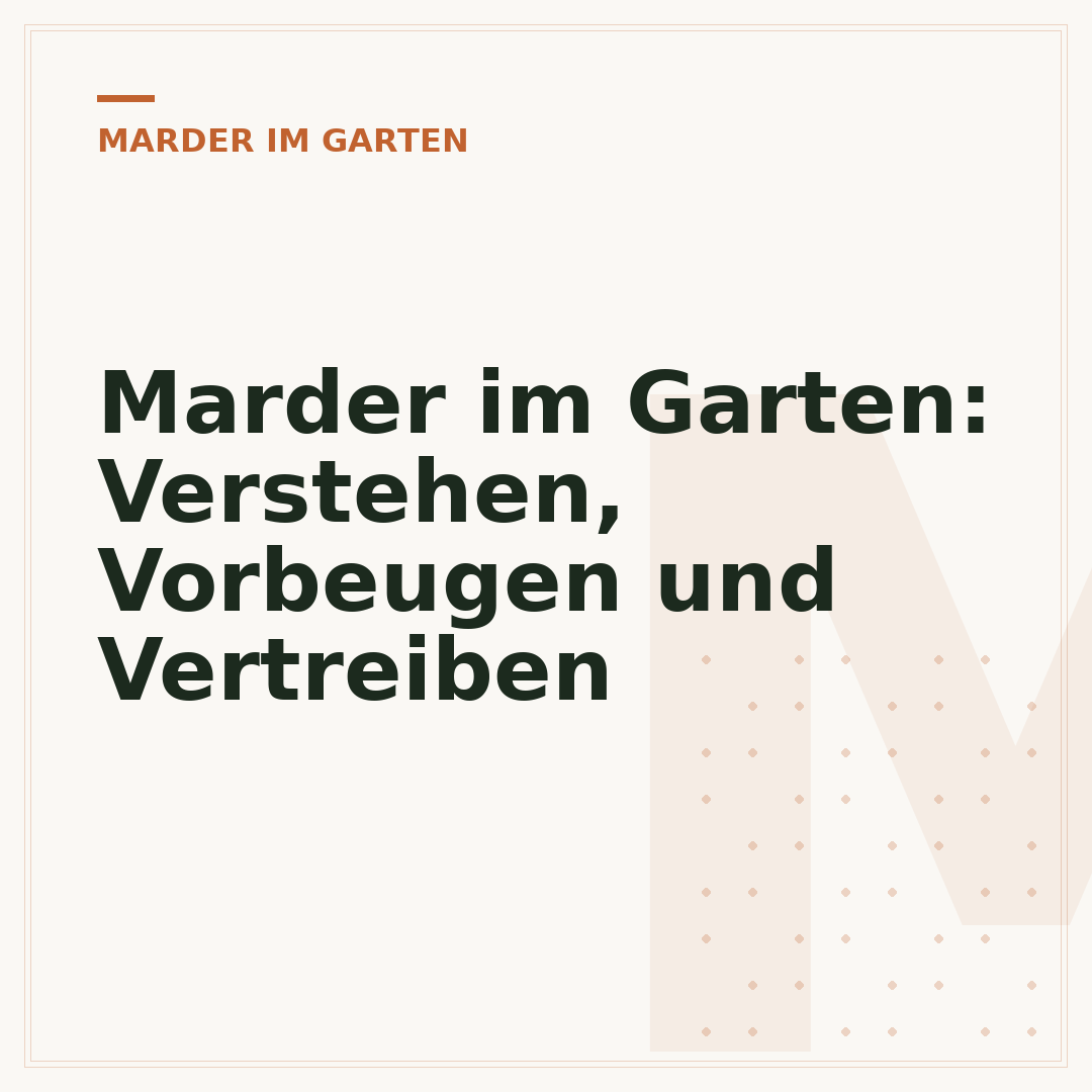 Marder im Garten: Verstehen, Vorbeugen und Vertreiben