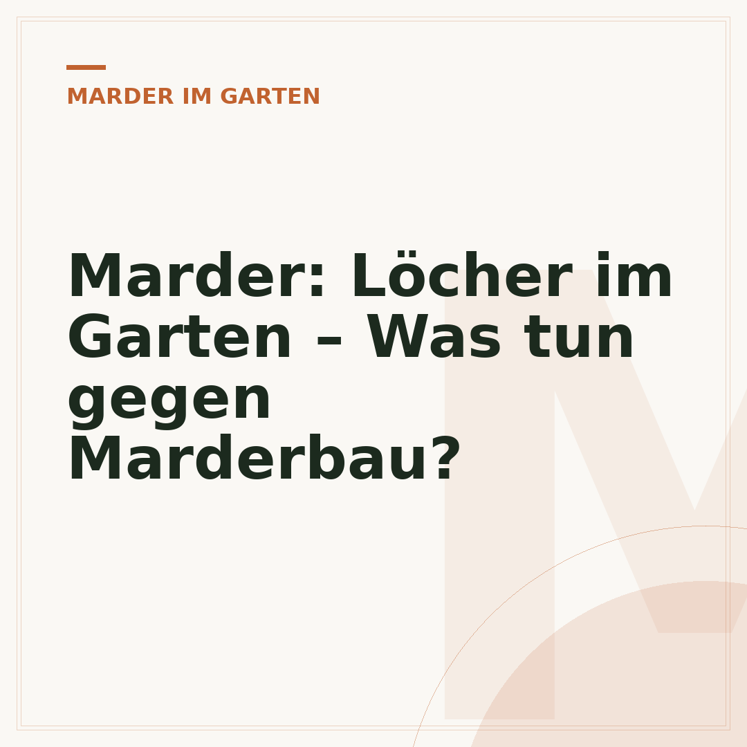 Marder: Löcher im Garten – Was tun gegen Marderbau?
