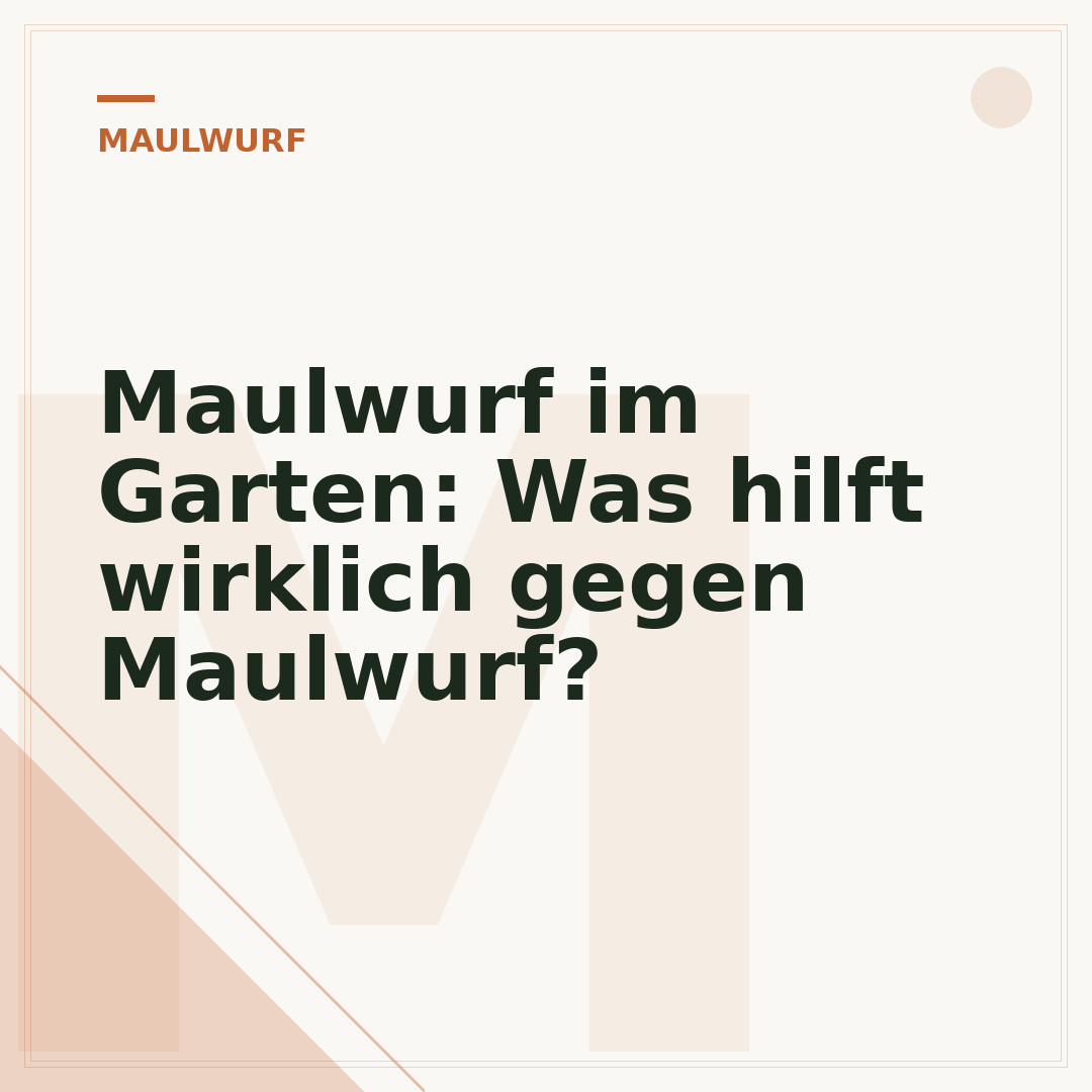 Maulwurf im Garten: Was hilft wirklich gegen Maulwurf?
