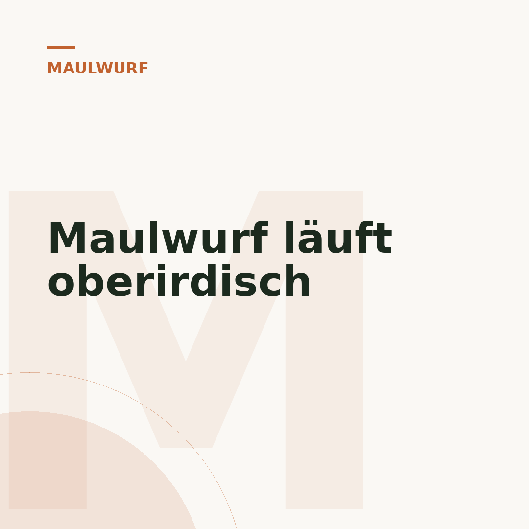 Maulwurf läuft oberirdisch
