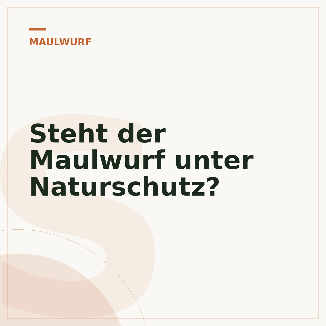 Steht der Maulwurf unter Naturschutz?