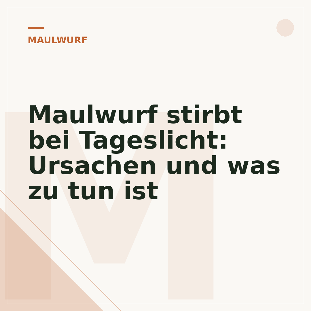 Maulwurf stirbt bei Tageslicht: Ursachen und was zu tun ist