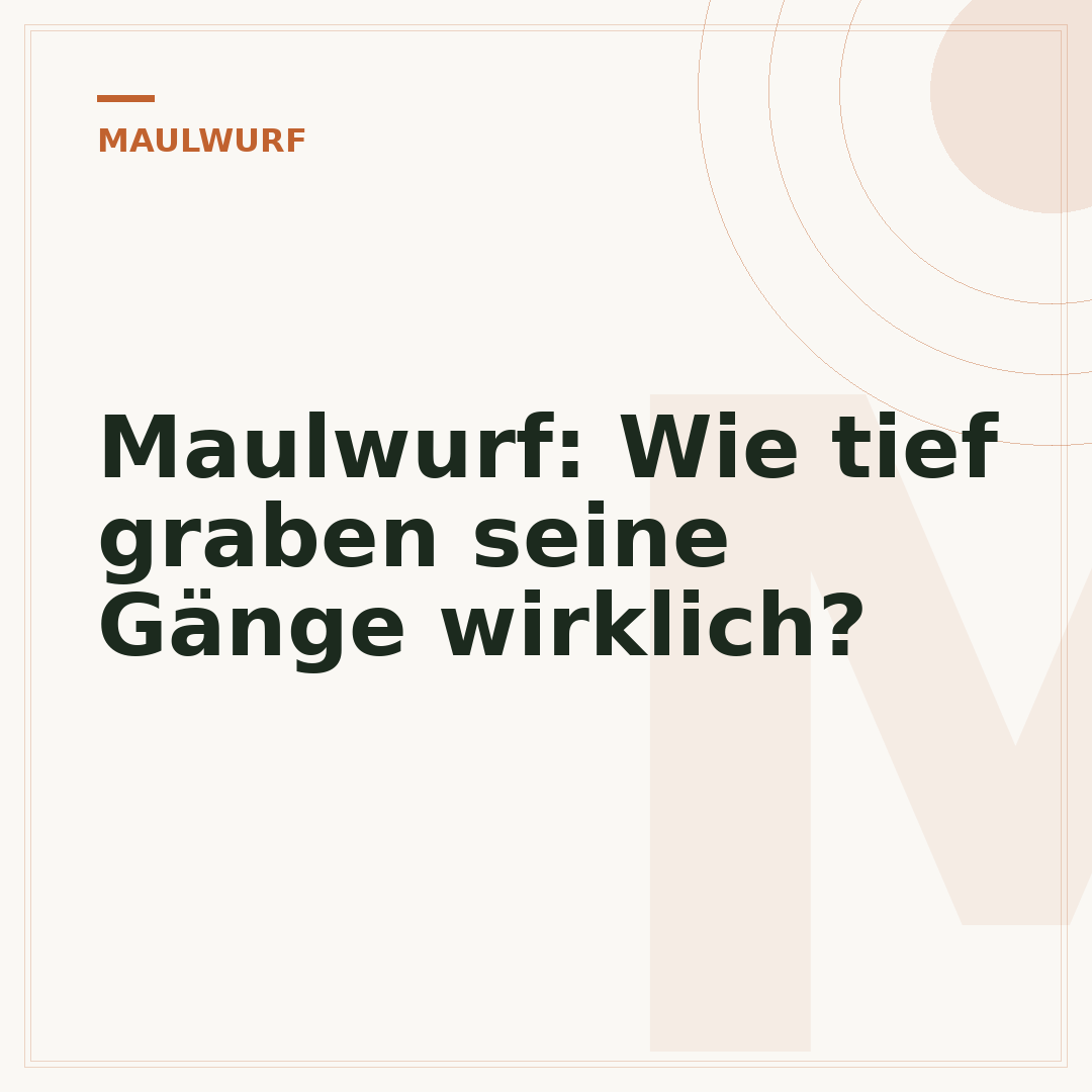 Maulwurf: Wie tief graben seine Gänge wirklich?