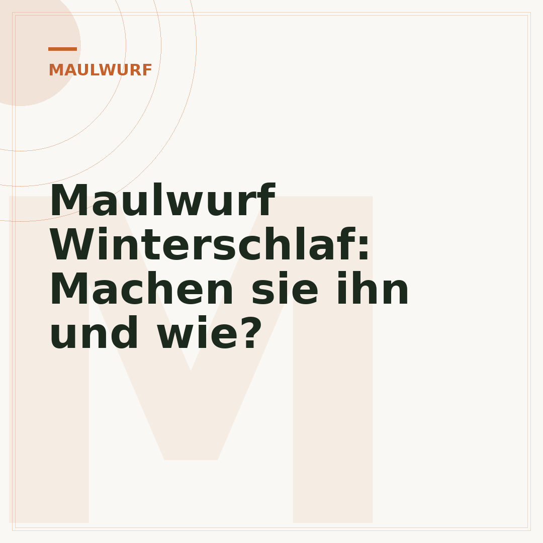 Maulwurf Winterschlaf: Machen sie ihn und wie?