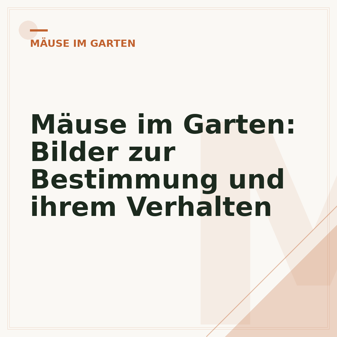 Mäuse im Garten: Bilder zur Bestimmung und ihrem Verhalten