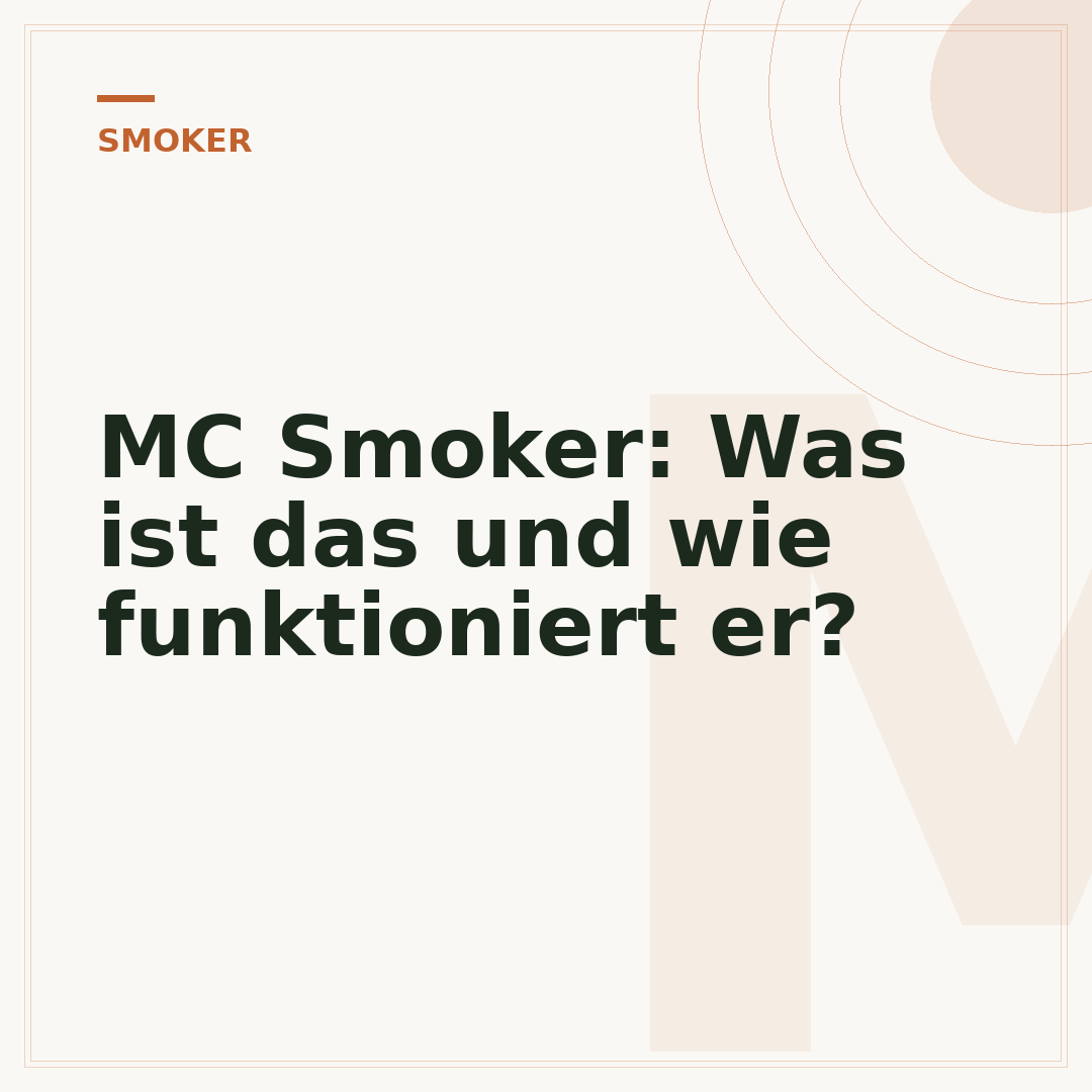 MC Smoker: Was ist das und wie funktioniert er?