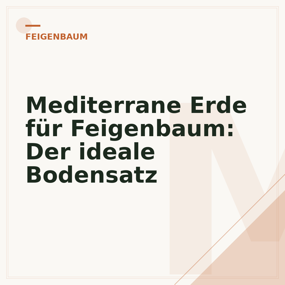 Mediterrane Erde für Feigenbaum: Der ideale Bodensatz