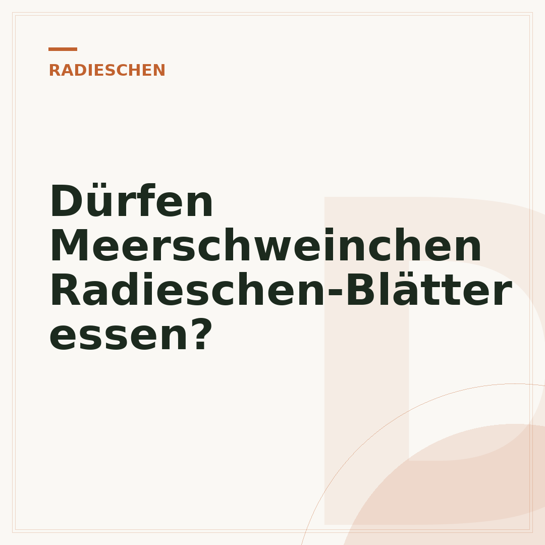 Dürfen Meerschweinchen Radieschen-Blätter essen?