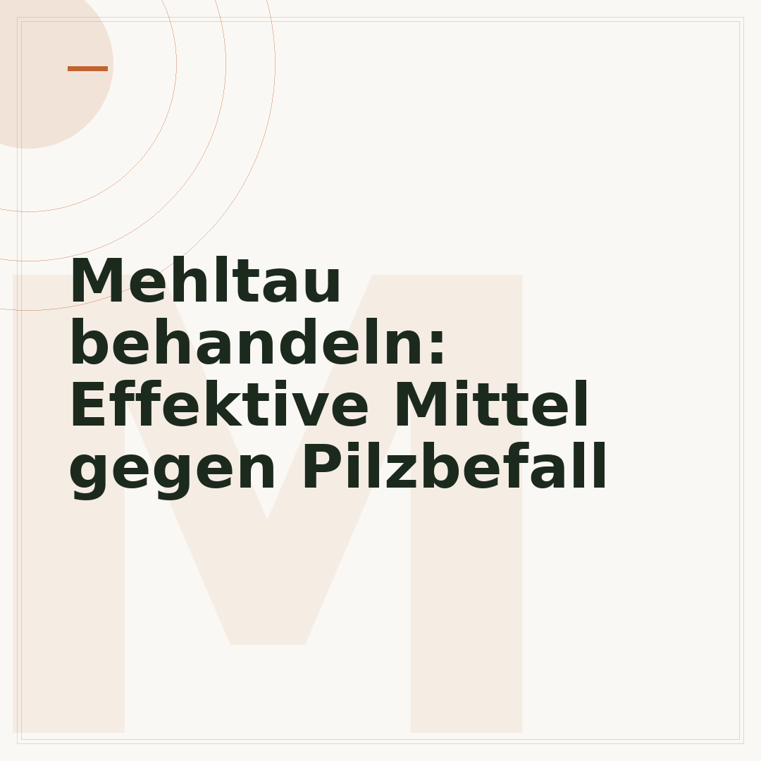 Mehltau behandeln: Effektive Mittel gegen Pilzbefall
