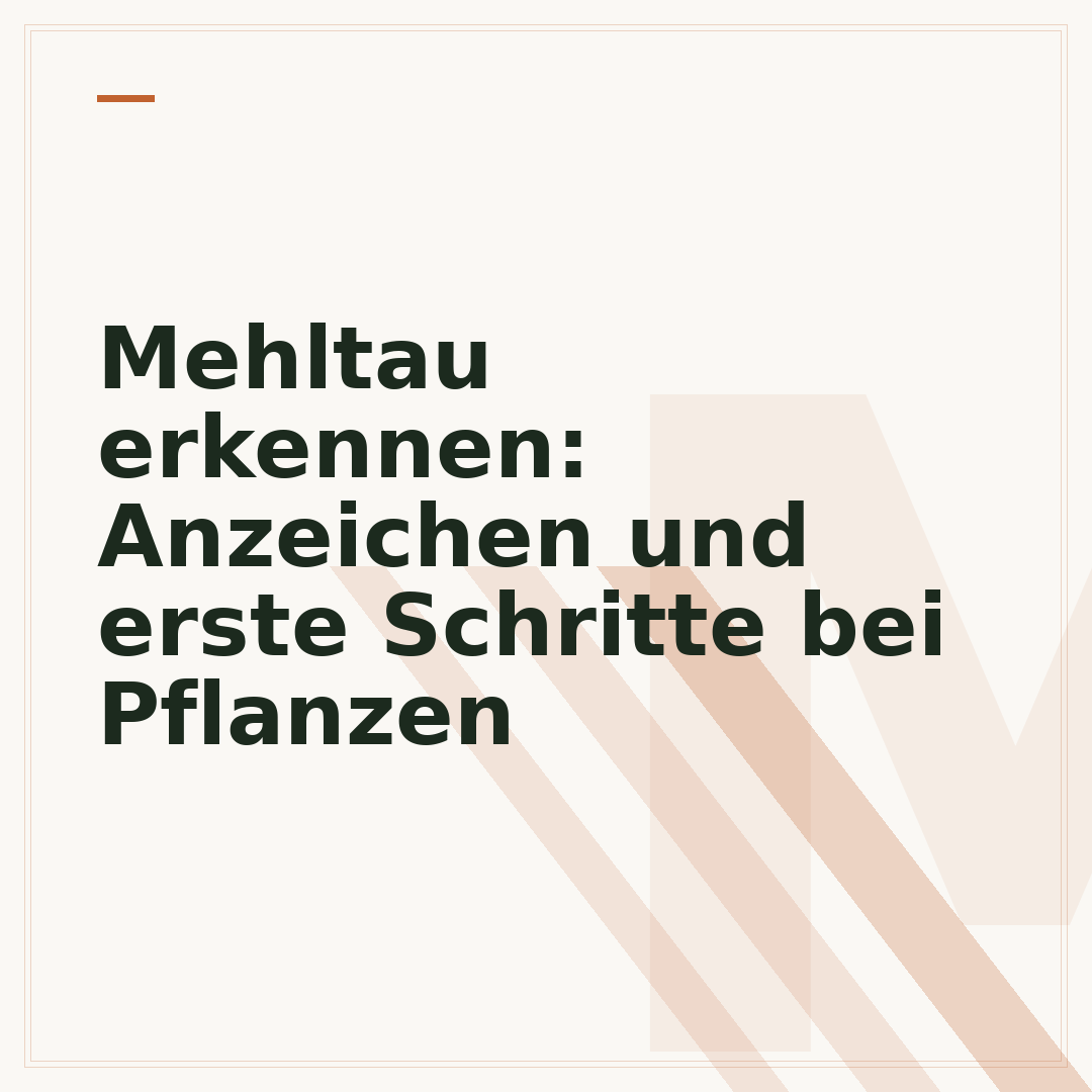 Mehltau erkennen: Anzeichen und erste Schritte bei Pflanzen