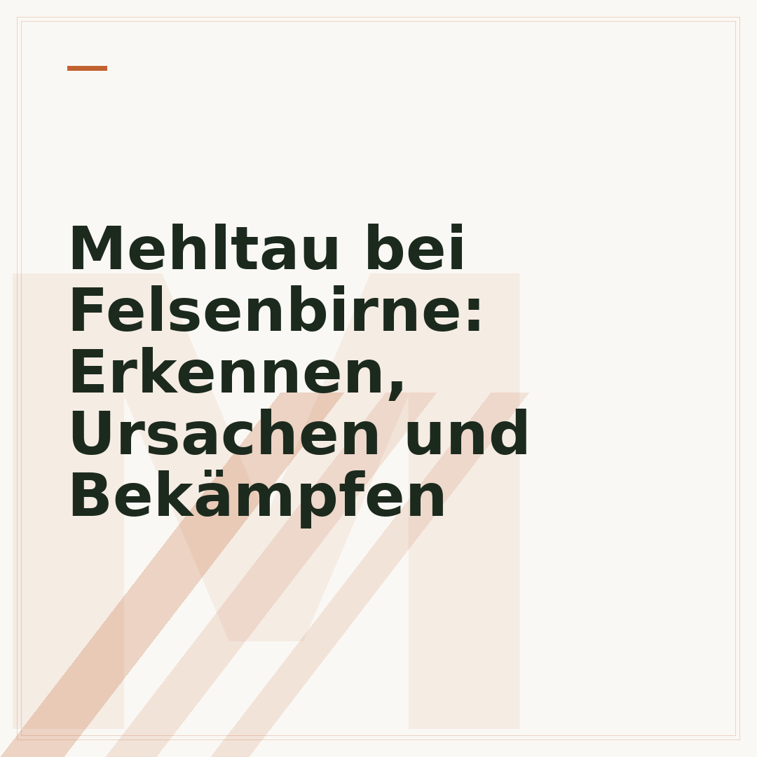 Mehltau bei Felsenbirne: Erkennen, Ursachen und Bekämpfen