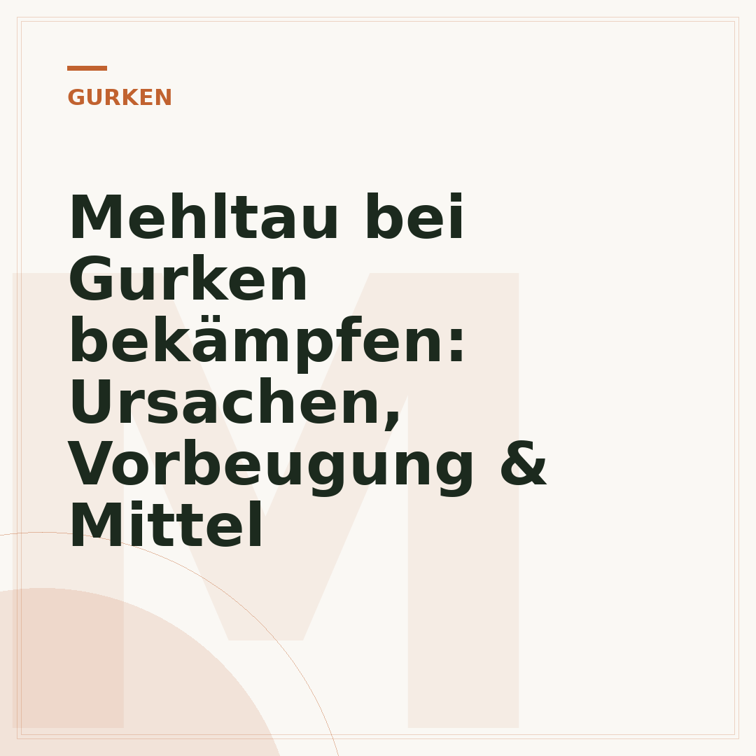 Mehltau bei Gurken bekämpfen: Ursachen, Vorbeugung & Mittel