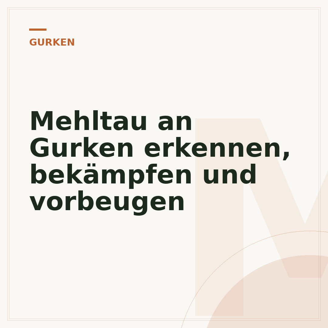 Mehltau an Gurken erkennen, bekämpfen und vorbeugen