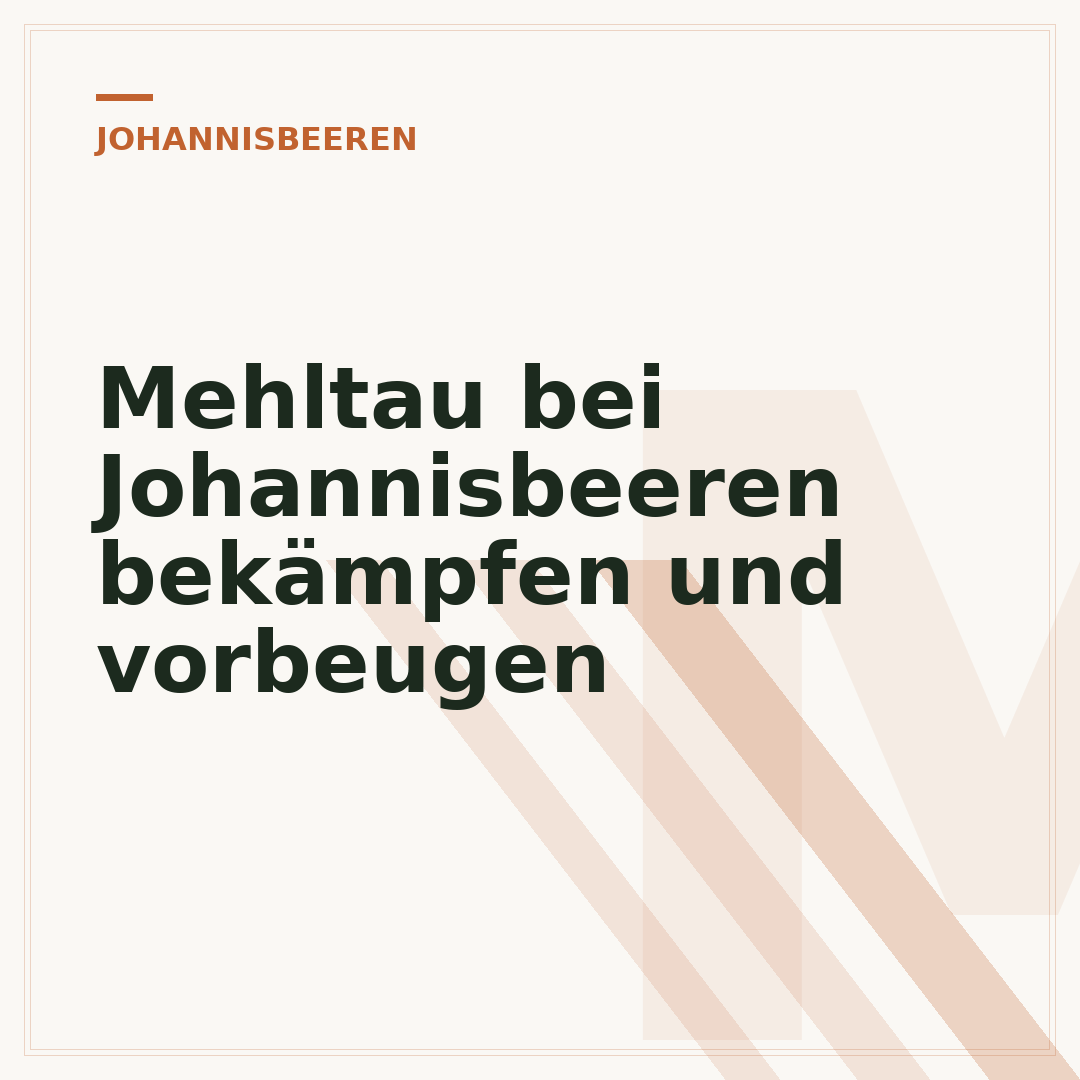 Mehltau bei Johannisbeeren bekämpfen und vorbeugen