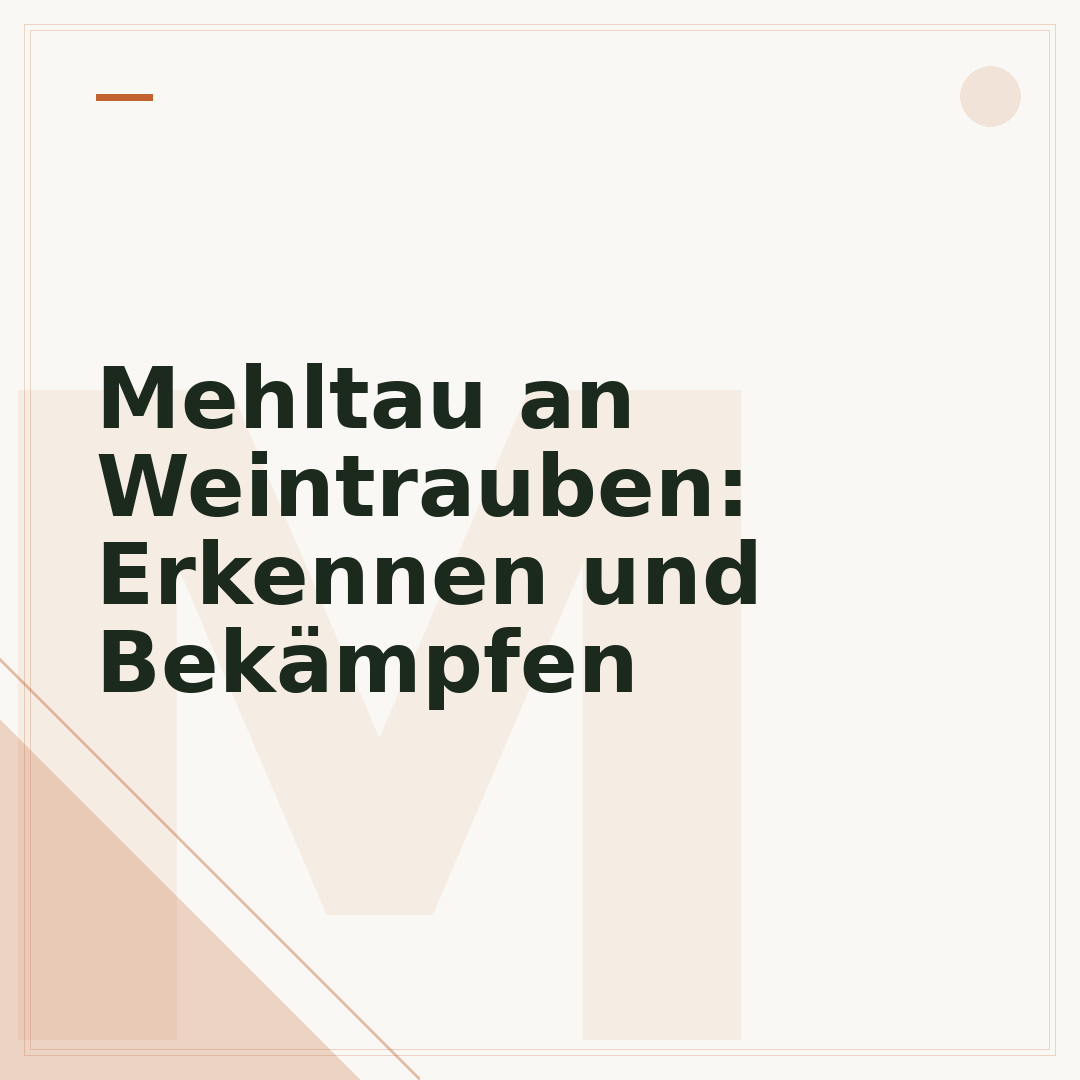 Mehltau an Weintrauben: Erkennen und Bekämpfen